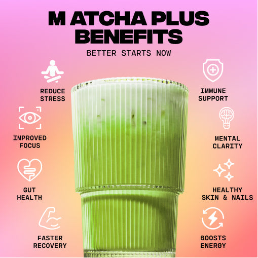 30-servings-of-mushroom-matcha-free-starter-kit-c6 1_e8b56491-7cb2-472e-ac2c-4f42e819f02f.jpg
