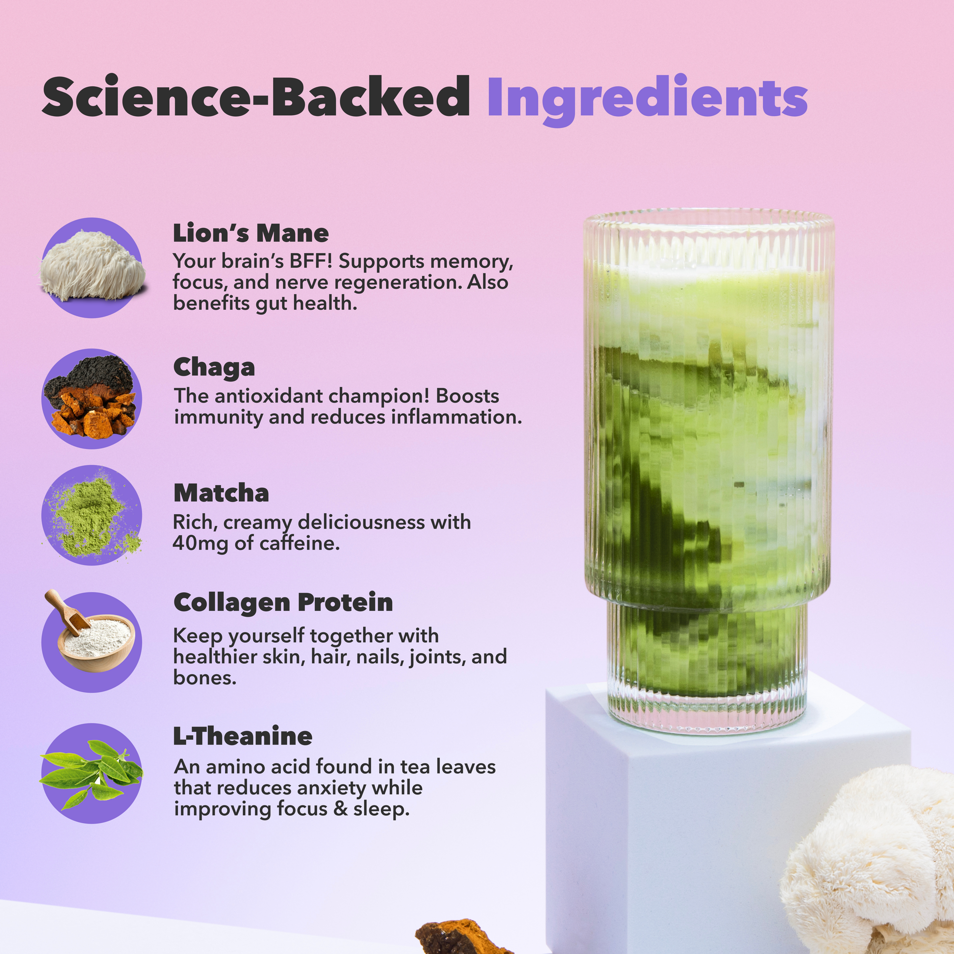 30-servings-mushroom-matcha-i1 custom_resized_386f63f8-0691-449c-9e51-462fed6c0033.png